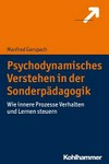 Psychodynamisches Verstehen in der Sonderpädagogik: wie innere Prozesse Verhalten und Lernen steuern